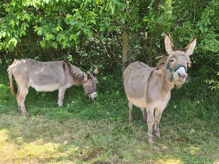 Kinder- und Familienfest in Rodishain 