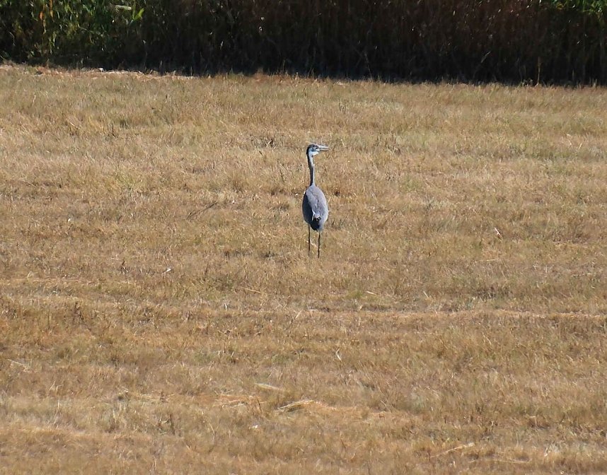 Peter Blei unterwegs am Stausee Kelbra 