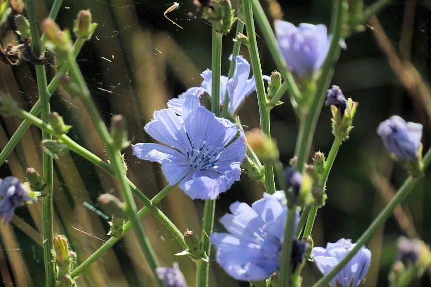 Peter Blei unterwegs im S&uuml;dharz