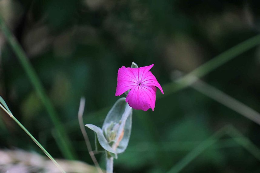 Peter Blei unterwegs im S&uuml;dharz