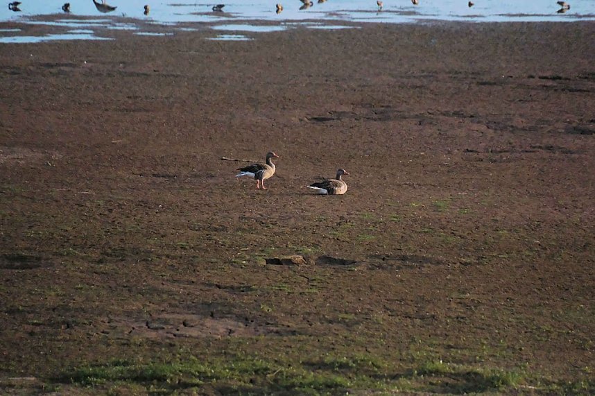 Peter Blei unterwegs am Stausee Kelbra