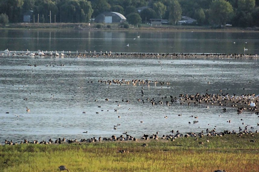 Peter Blei unterwegs am Stausee Kelbra