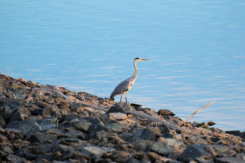 Peter Blei unterwegs am Stausee Kelbra