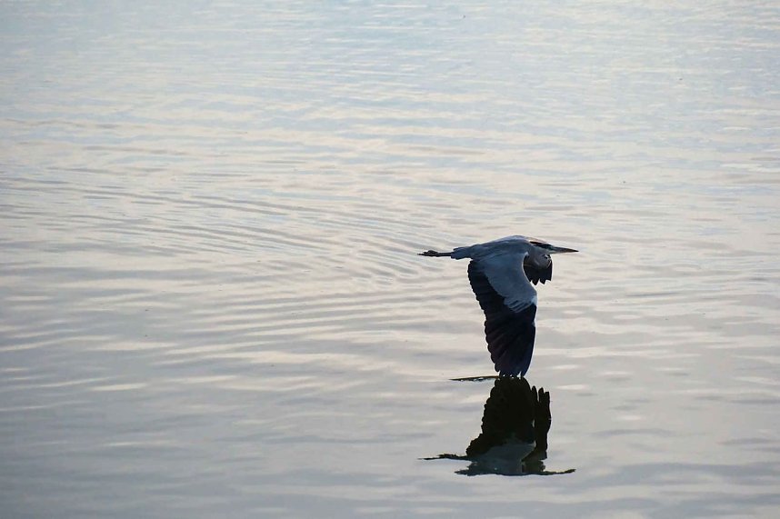 Peter Blei unterwegs am Stausee Kelbra