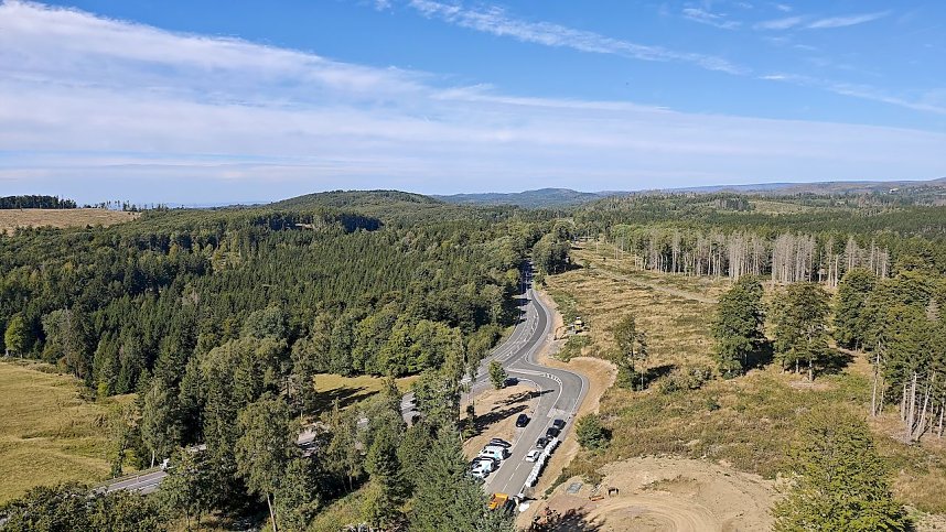 Besuch am Hexenbesen bei Rothes&uuml;tte am 8. September 2025