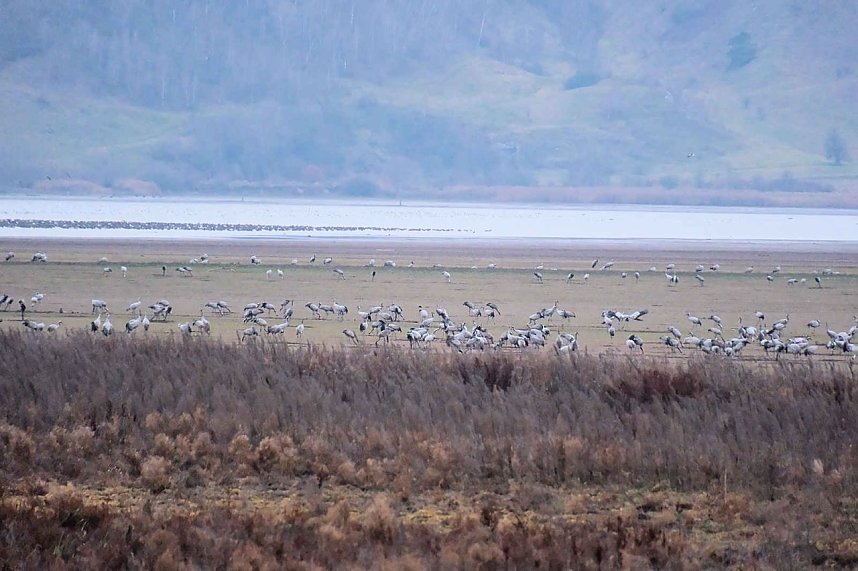 Peter Blei am Stausee Kelbra