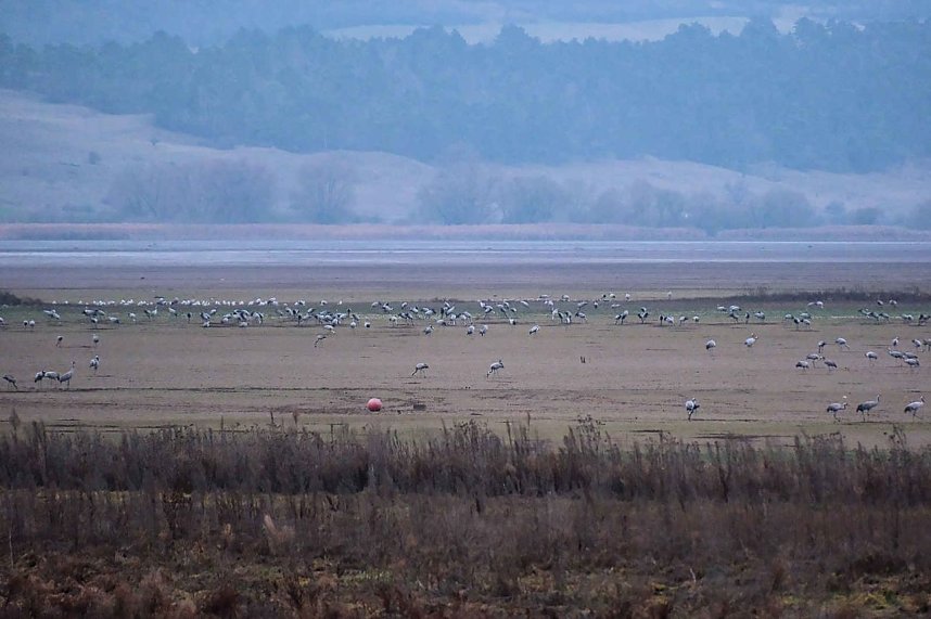 Peter Blei am Stausee Kelbra