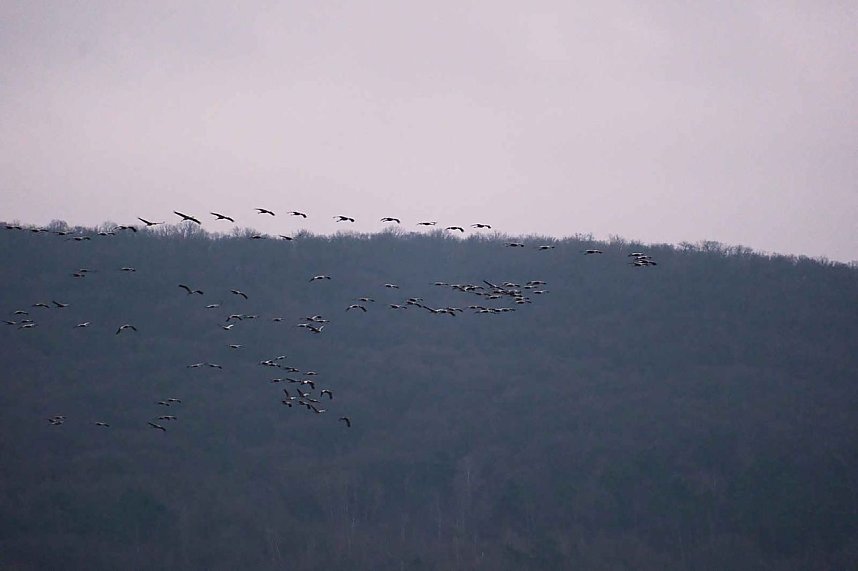Peter Blei am Stausee Kelbra
