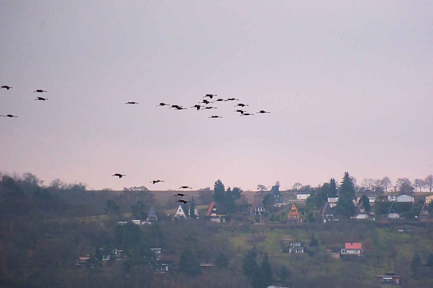 Peter Blei am Stausee Kelbra