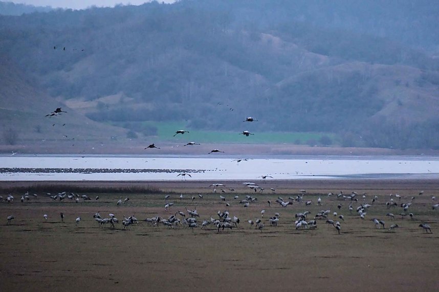 Peter Blei am Stausee Kelbra