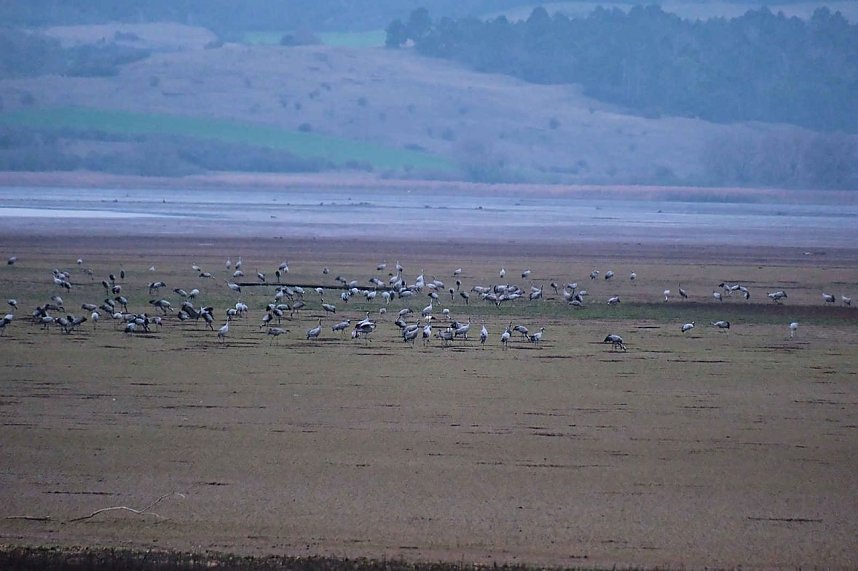 Peter Blei am Stausee Kelbra