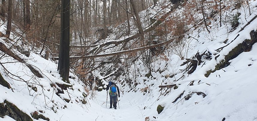 Die Wanderer erreichten den S-Bahnhof in Halle-Neustadt.