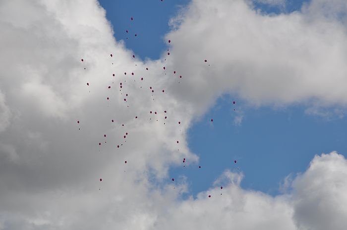 Buntes Programm zum FAMILIENTAG in der Galerie