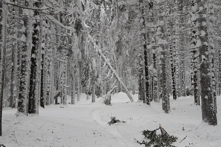 Heiligabend auf den Brocken