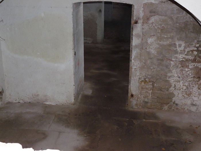 Wundert&uuml;te ersteigert