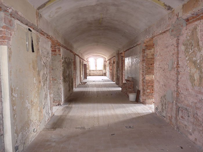 Wundert&uuml;te ersteigert